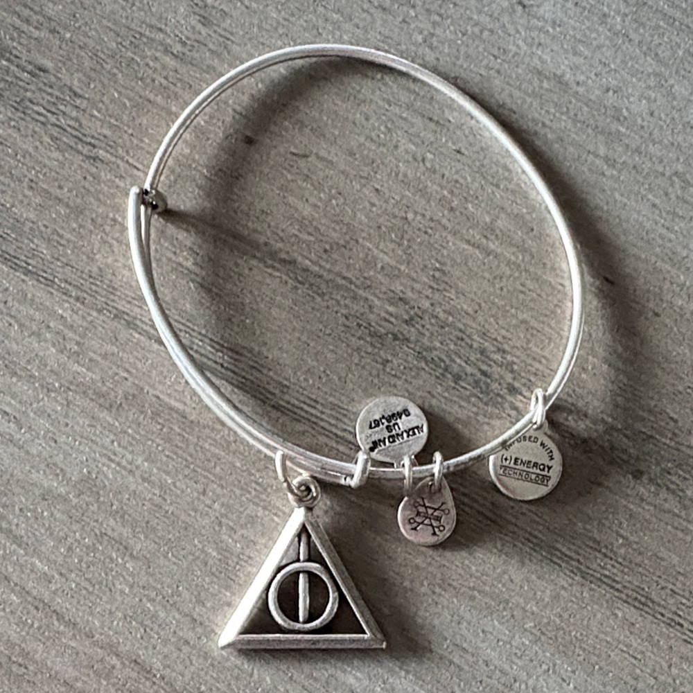 Alex & Ani Charm Bangle Bracelet preloved